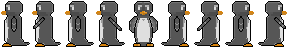 penguin